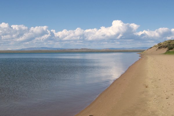 Кракен картель