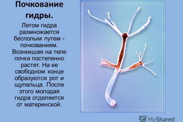 Кракен сайт бошки