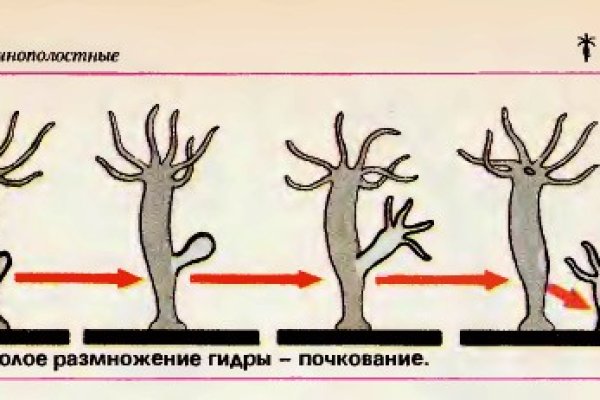 Вход в кракен