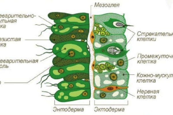 Даркнет официальный сайт на русском