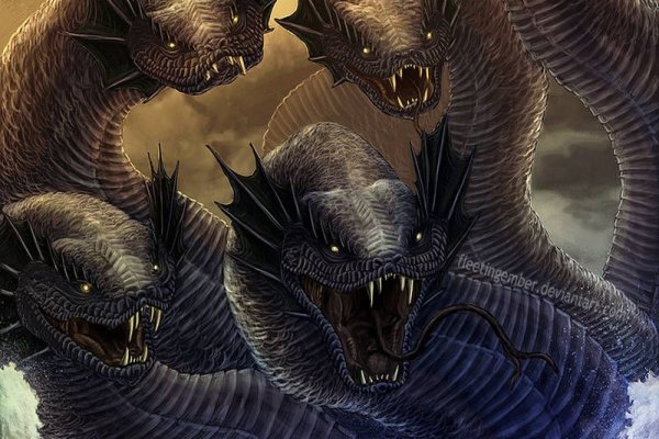 Kraken market
