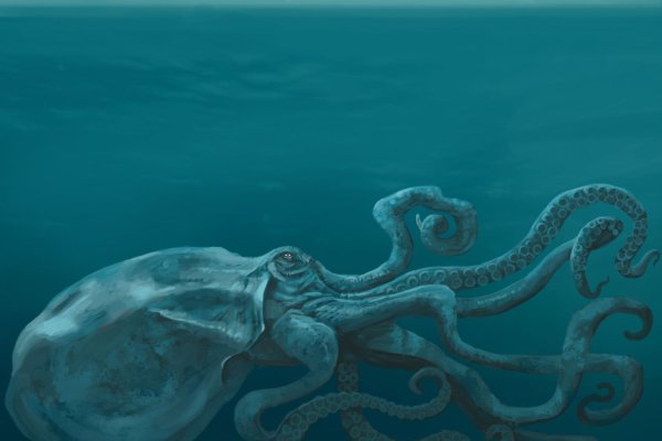 Kraken forum