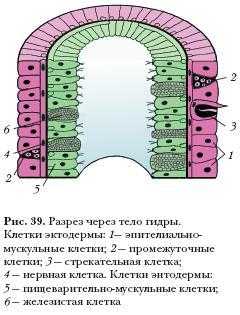 Кракен не работает