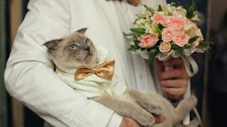Кракен маркет даркнет слушать
