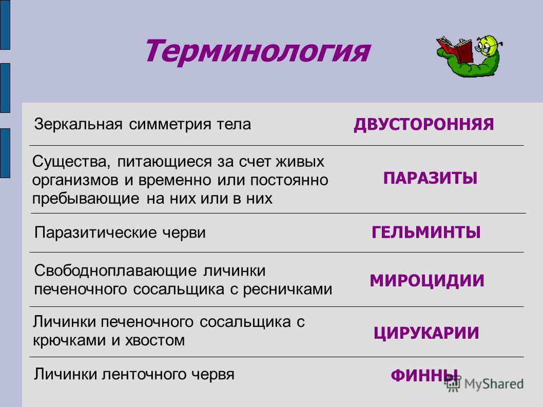 Даркнет вход